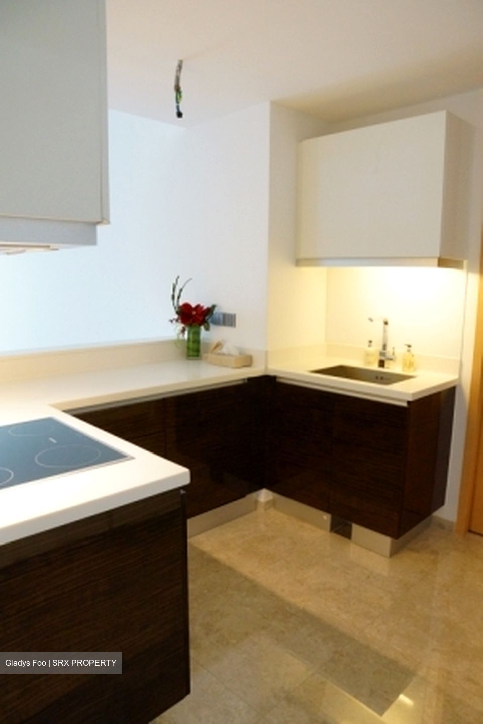 Marina Bay Suites (D1), Condominium #622658091